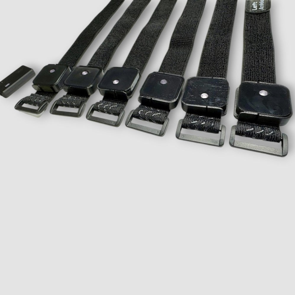 Ibis Trackers Lite Edition