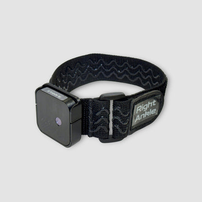 Ibis Trackers Lite Edition