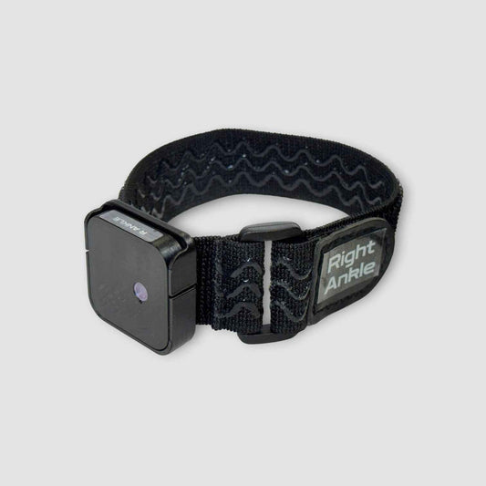 Ibis Trackers Lite Edition