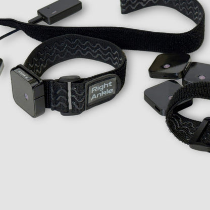 Ibis Trackers Lite Edition