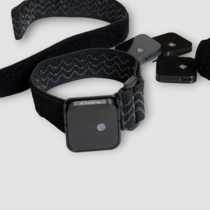 Ibis Trackers Lite Edition
